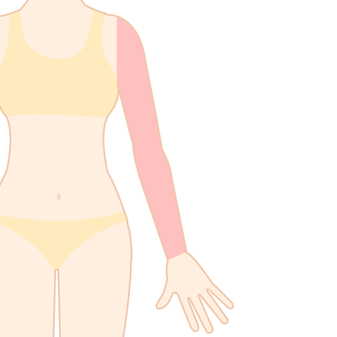 医療脱毛 ひじ下+ひじ上