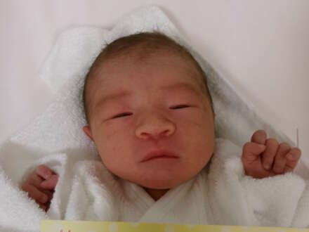 こうこうちゃん